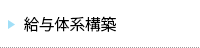 給与体系構築