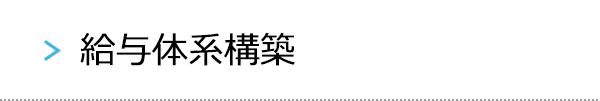 給与体系構築